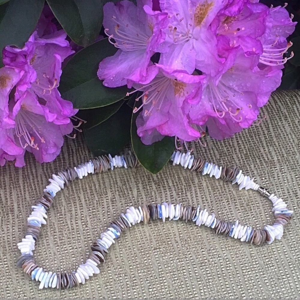 Pretty little shell-piece necklace